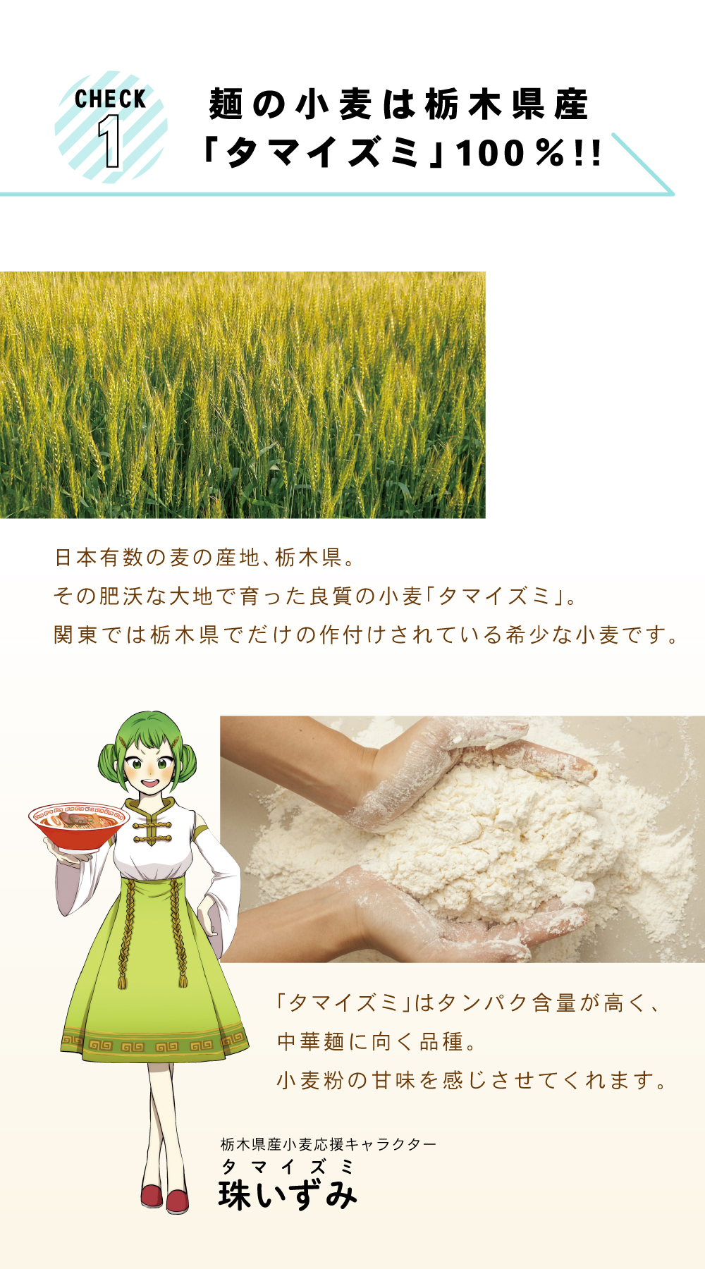 麺の小麦は栃木県産タマイズミ100％