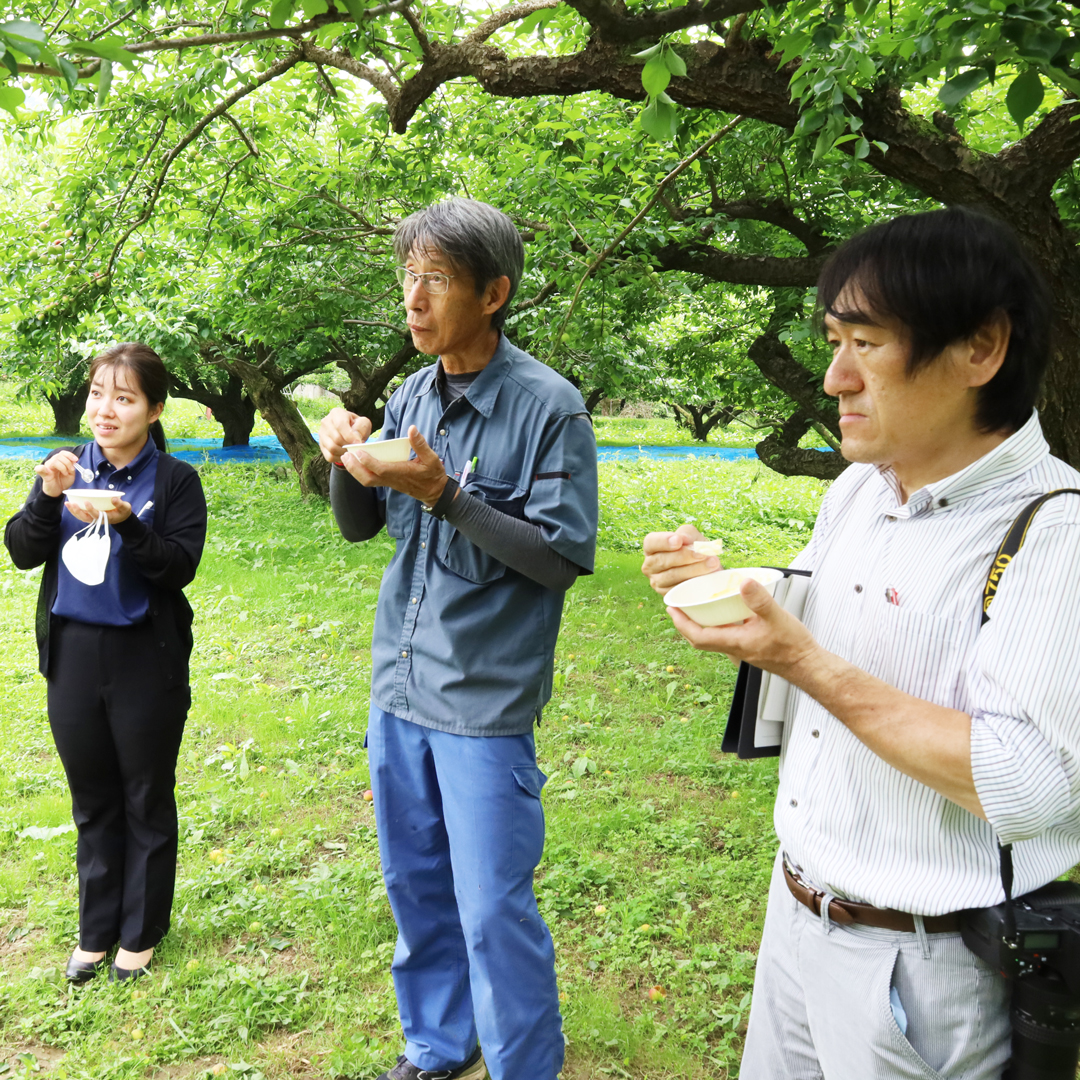 試食の様子