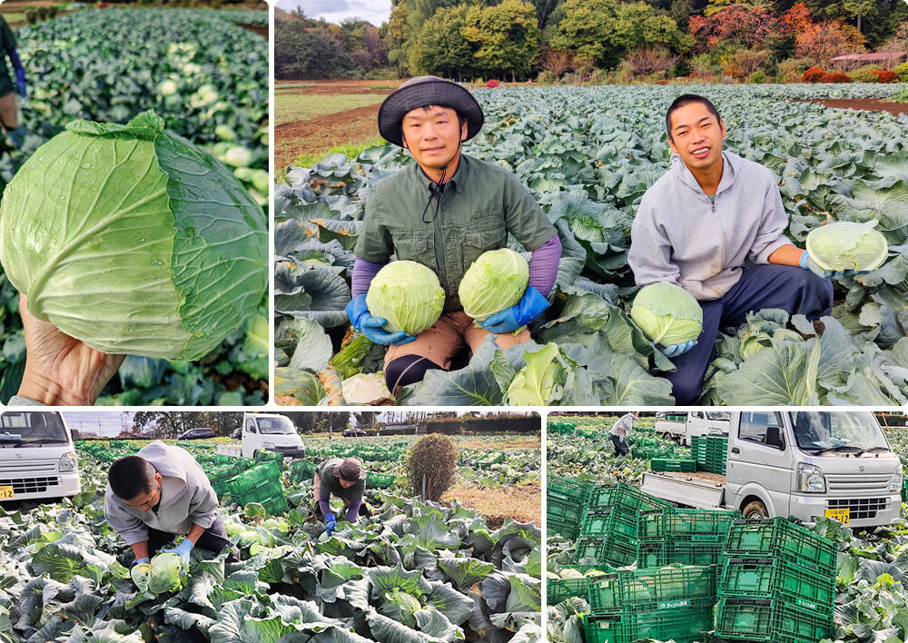 関東エリア店舗「タンメン　キャベツ20g増量！」