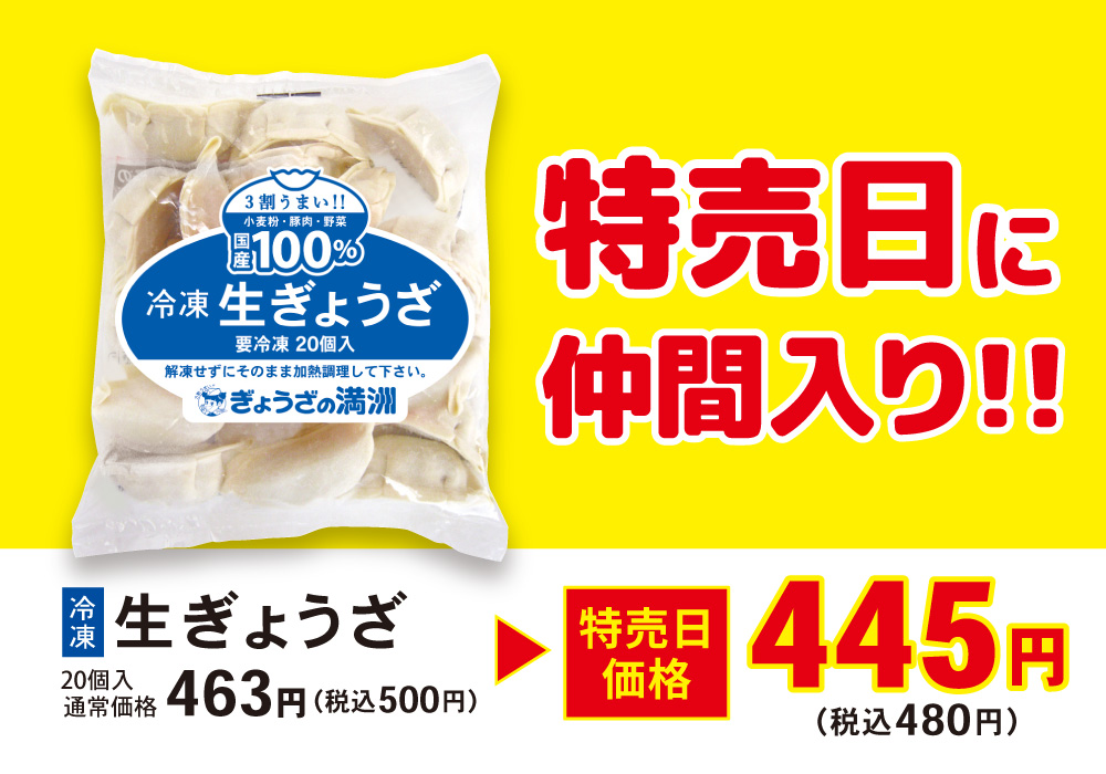 冷凍生ぎょうざ20個入